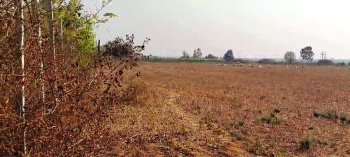  Agricultural Land for Sale in Vemagal, Kolar