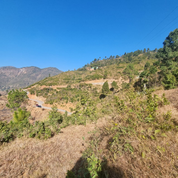  Residential Plot 240 Sq. Yards for Sale in Khairna/Khyrna, Nainital