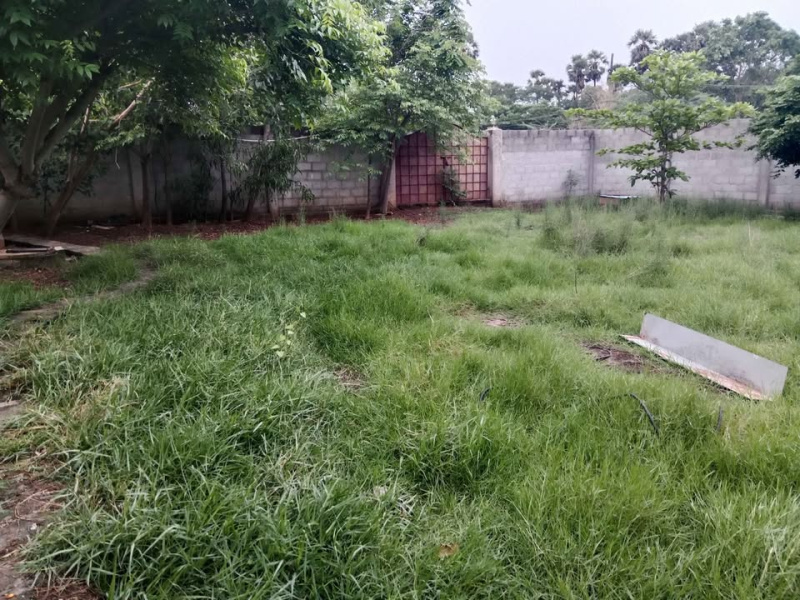  Agricultural Land 3600 Sq.ft. for Rent in Red Hills, Chennai