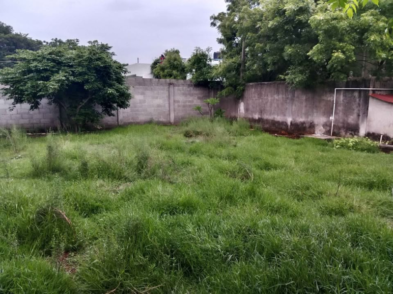  Agricultural Land 3600 Sq.ft. for Rent in Red Hills, Chennai