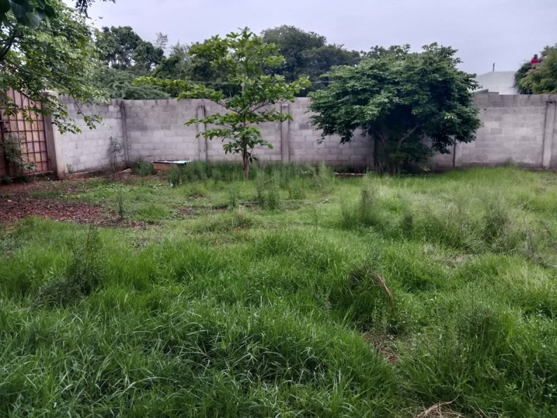  Agricultural Land 3600 Sq.ft. for Rent in Red Hills, Chennai