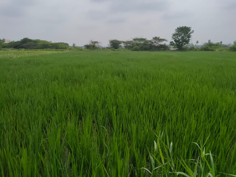  Agricultural Land 2 Acre for Sale in Ibrahimpatnam, Hyderabad