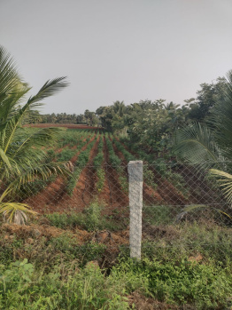  Agricultural Land for Sale in Nambiyur, Erode