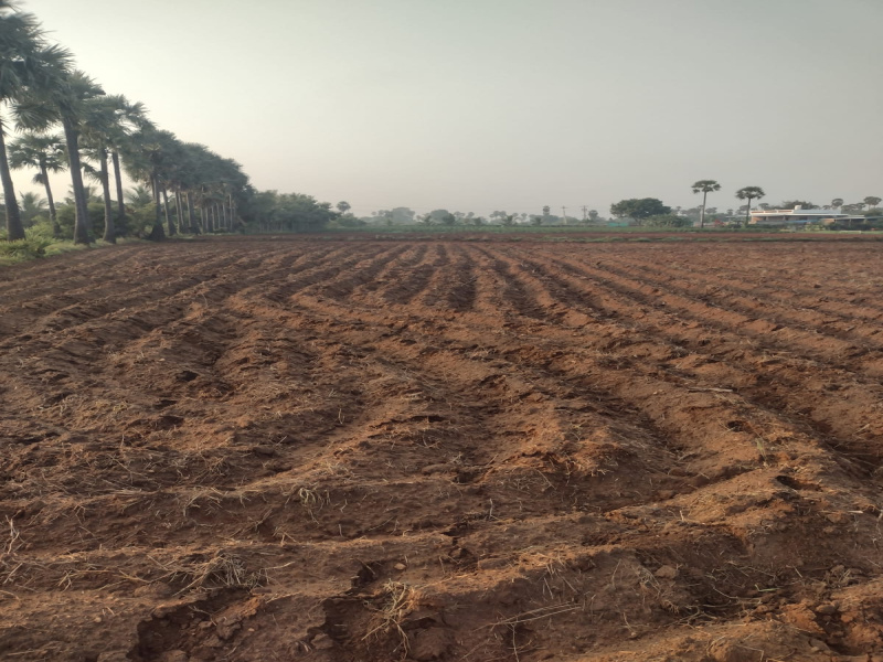  Agricultural Land 2 Acre for Sale in Nambiyur, Erode