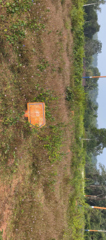  Residential Plot for Sale in Sagara, Shimoga