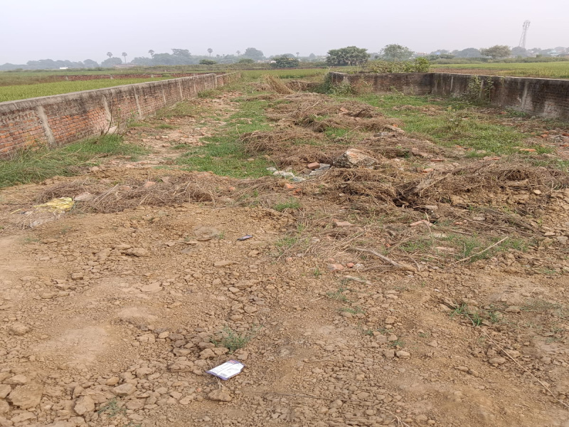  Residential Plot 1200 Sq.ft. for Sale in Bihta, Patna