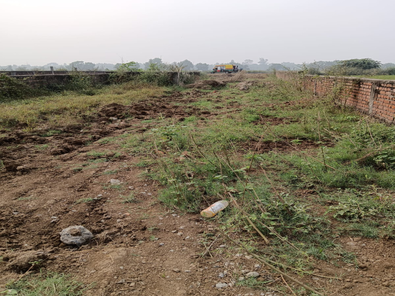  Residential Plot 1200 Sq.ft. for Sale in Bihta, Patna