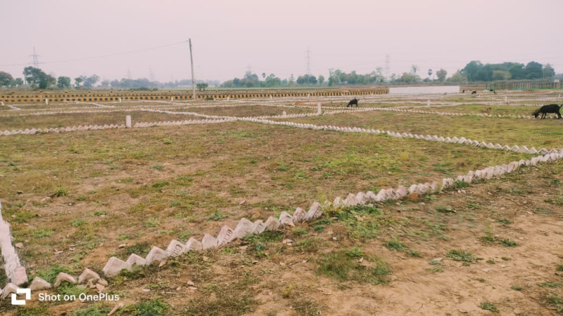  Residential Plot 1200 Sq.ft. for Sale in Bihta, Patna