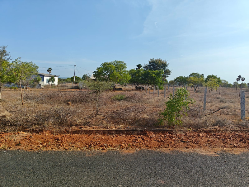  Residential Plot 2000 Sq.ft. for Sale in Uthukuli, Tirupur