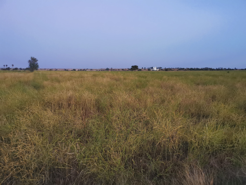  Agricultural Land 4 Acre for Sale in Gangawati, Koppal