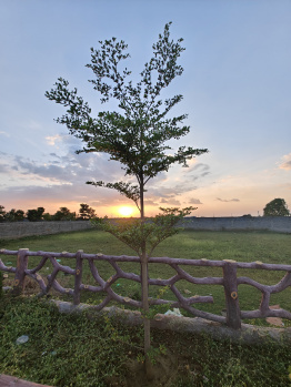  Residential Plot for Sale in Naya Raipur, Raipur