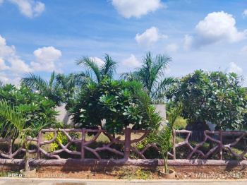  Residential Plot for Sale in Kendri, Raipur
