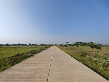  Residential Plot for Sale in Kendri, Raipur