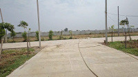 Residential Plot for Sale in Kachna, Raipur