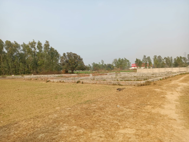  Commercial Land 1899 Sq.ft. for Sale in Katibagiya, Lucknow