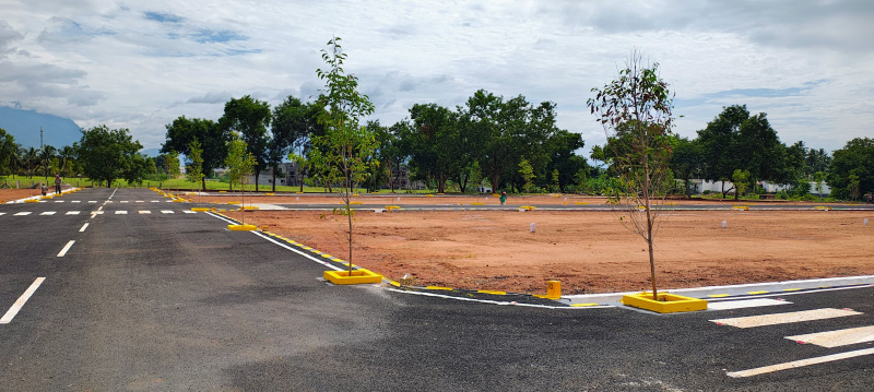  Residential Plot 4 Cent for Sale in Gobichettipalayam, Erode