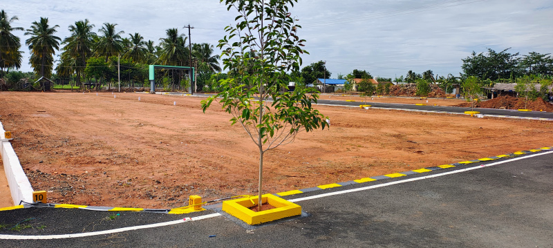  Residential Plot 4 Cent for Sale in Gobichettipalayam, Erode
