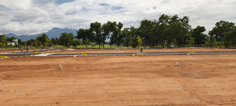  Residential Plot 3 Cent for Sale in Gobichettipalayam, Erode