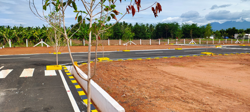  Residential Plot 3 Cent for Sale in Gobichettipalayam, Erode