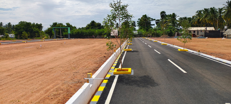 Residential Plot 3 Cent for Sale in Gobichettipalayam, Erode