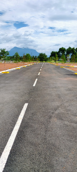  Residential Plot for Sale in Gobichettipalayam, Erode
