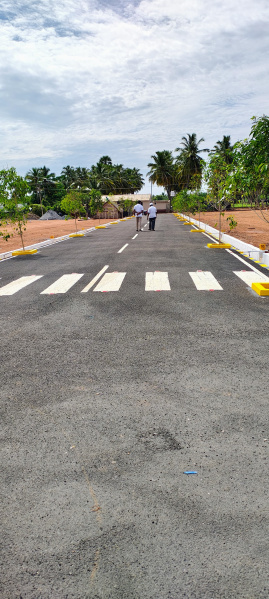  3 Cent Residential Plot for Sale in Gobichettipalayam, Erode