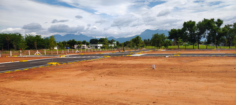  3 Cent Residential Plot for Sale in Gobichettipalayam, Erode