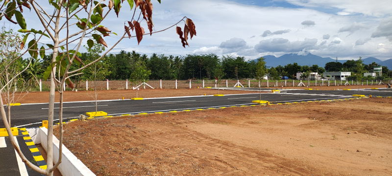  3 Cent Residential Plot for Sale in Gobichettipalayam, Erode
