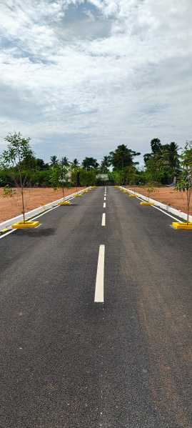  Residential Plot 3 Cent for Sale in Gobichettipalayam, Erode