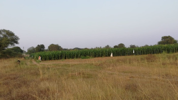  Agricultural Land for Rent in Gajwel, Siddipet