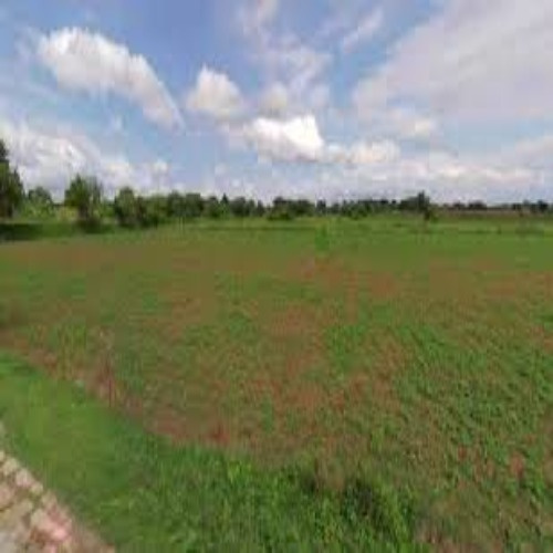  2 Bigha Agricultural/Farm Land for Sale in Rahui, Nalanda