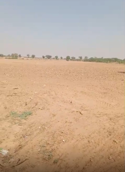  Agricultural Land 50 Bigha for Sale in Phalodi, Jodhpur