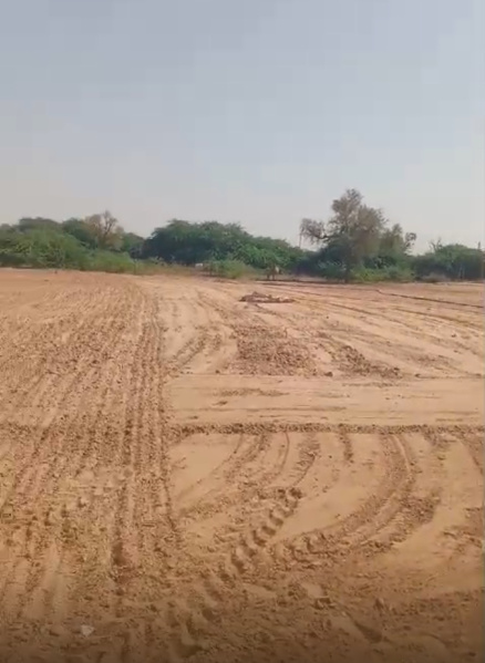  Agricultural Land 50 Bigha for Sale in Phalodi, Jodhpur