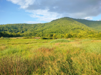  Agricultural Land for Sale in Dodamarg, Sindhudurg