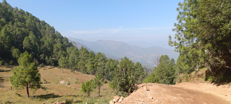  Residential Plot 260 Sq. Yards for Sale in Kausani, Almora