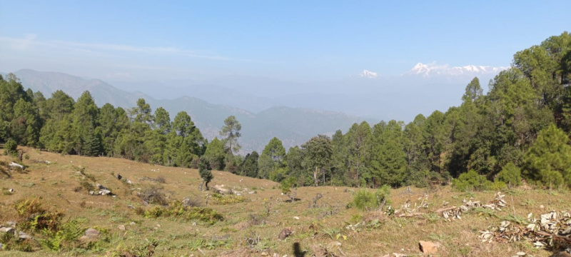  Residential Plot 260 Sq. Yards for Sale in Kausani, Almora