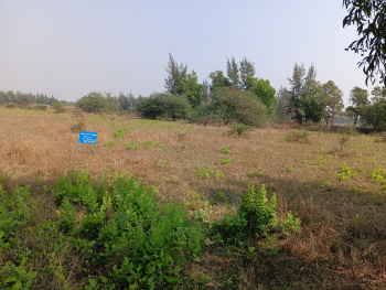  Industrial Land for Rent in Sanjan, Valsad