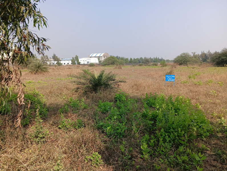  Industrial Land 12000 Sq.ft. for Rent in Sanjan, Valsad