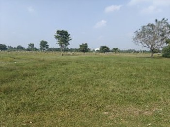  Residential Plot for Sale in Kanchipuram, 