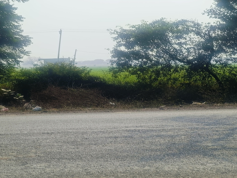  Residential Plot 1250 Ares for Sale in Hodal, Palwal