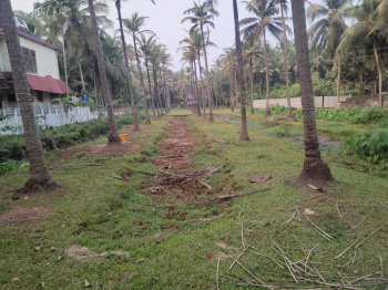  Residential Plot for Sale in Thondayad Bypass, Kozhikode