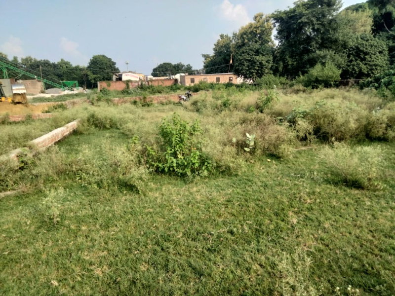  Residential Plot 1100 Sq.ft. for Sale in Tanda, Ambedkar Nagar