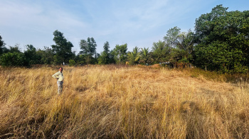  Agricultural Land for Sale in Kadamba Plateau, Goa