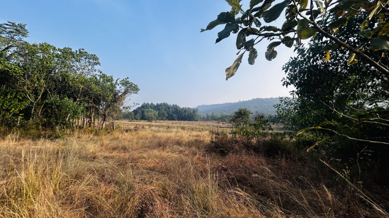  Agricultural Land 22000 Sq. Meter for Sale in Kadamba Plateau, Goa