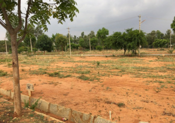  Residential Plot for Sale in Civil Lines, Agra