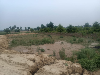  Residential Plot for Sale in Amarheri, Jind