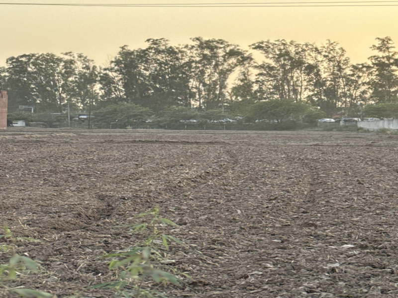  Agricultural Land 6 Acre for Sale in Zirakpur, Panchkula