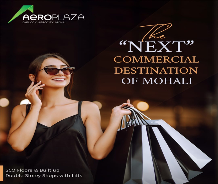  Showroom 700 Sq.ft. for Sale in Aerocity, Mohali