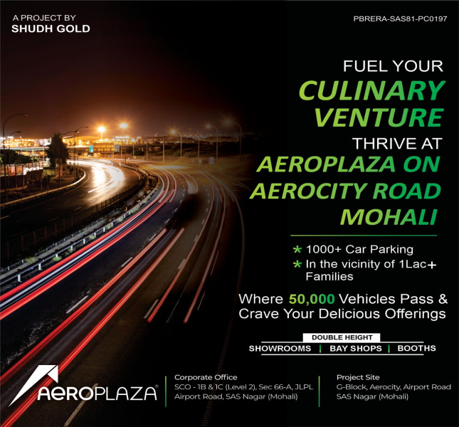  Showroom 700 Sq.ft. for Sale in Aerocity, Mohali