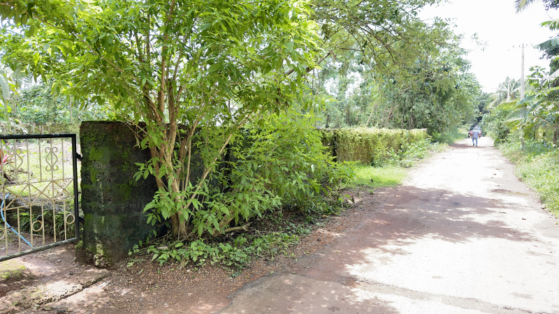  Residential Plot 15 Cent for Sale in Ullal, Dakshin Kannad